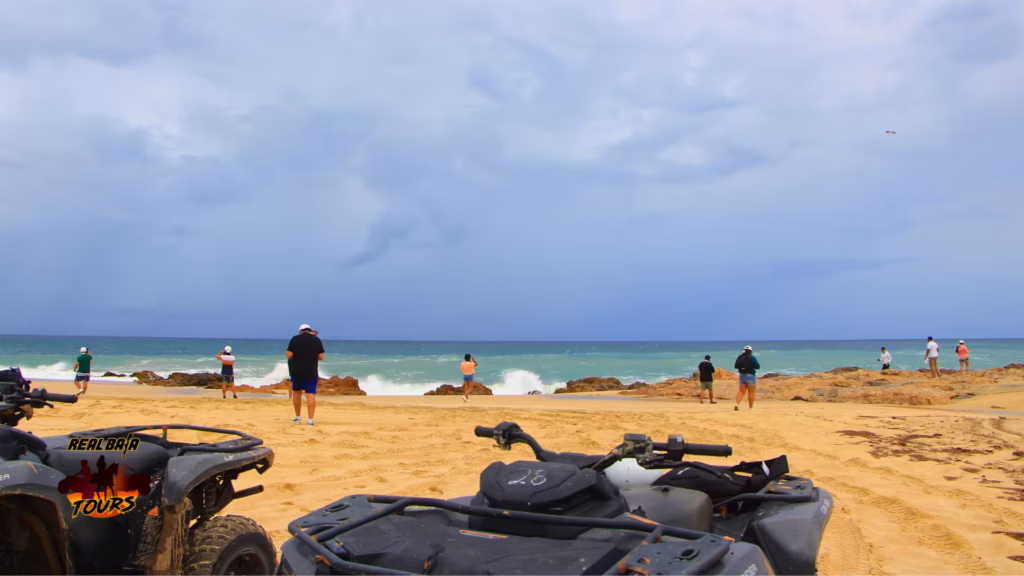 Real Baja Tours Friends Near the Sea