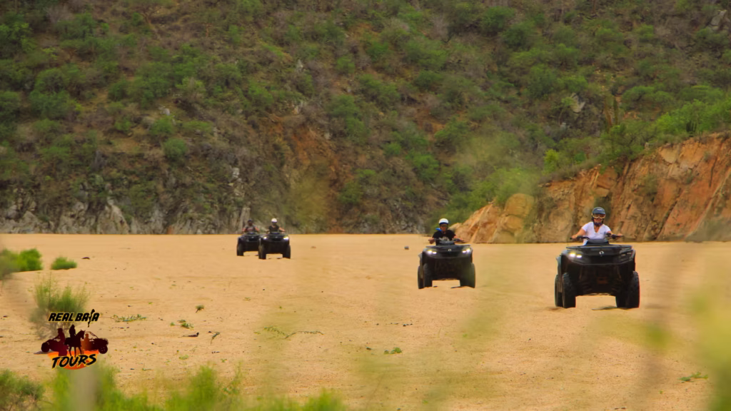 Real Baja Tours stream during the rainy season