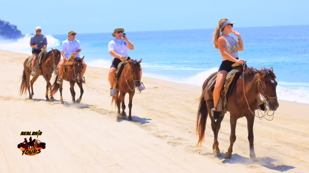 Real Baja Tours Horses Migrino